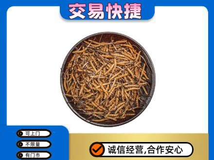 长汀县回收散虫草